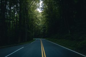 A Comprehensive Guide to the National Parks of the American West