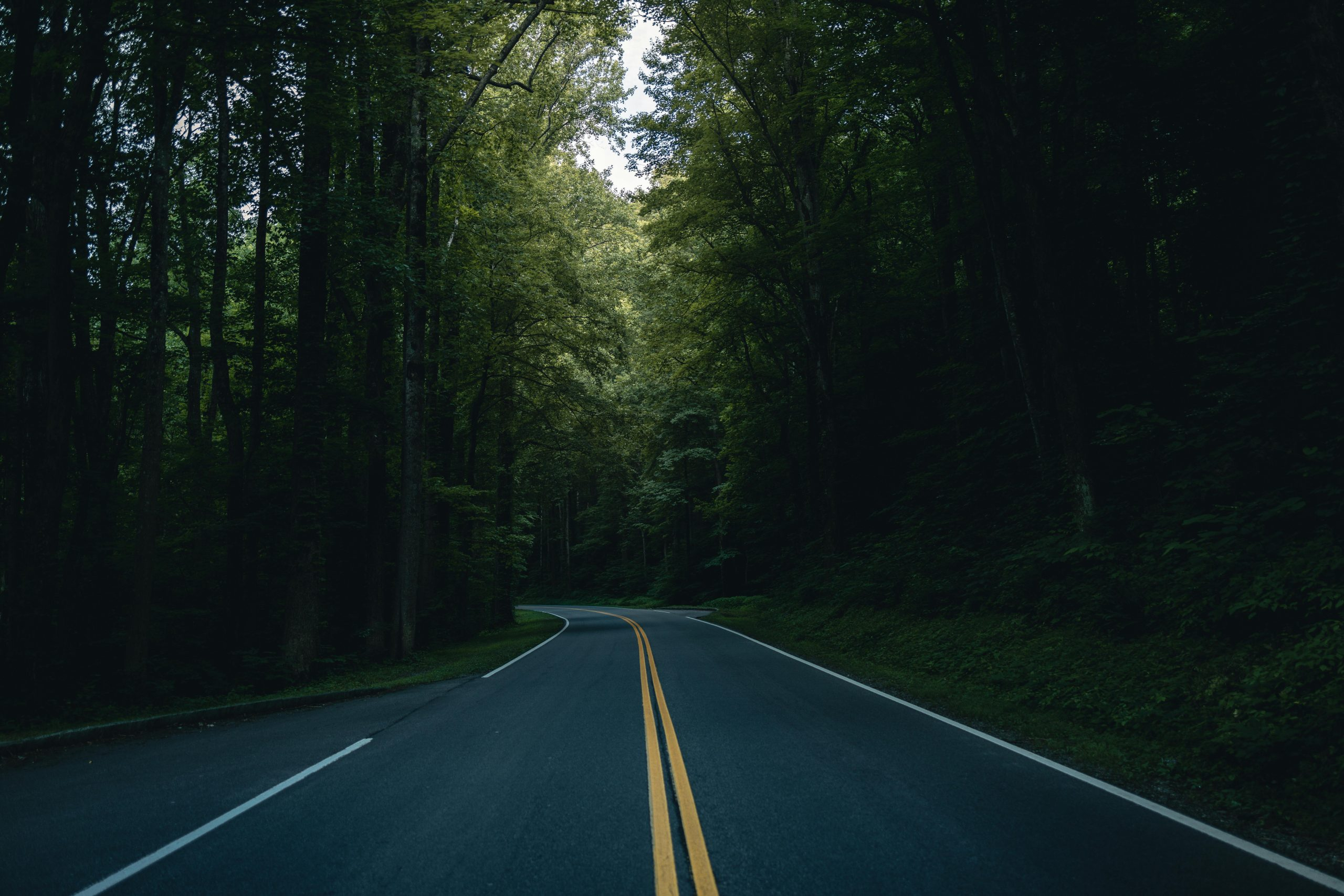 A Comprehensive Guide to the National Parks of the American West