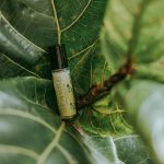 Understanding the Ethical Treatment of Animals in Products