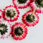 Overcoming Jet Lag: Simple Science-Backed Strategies