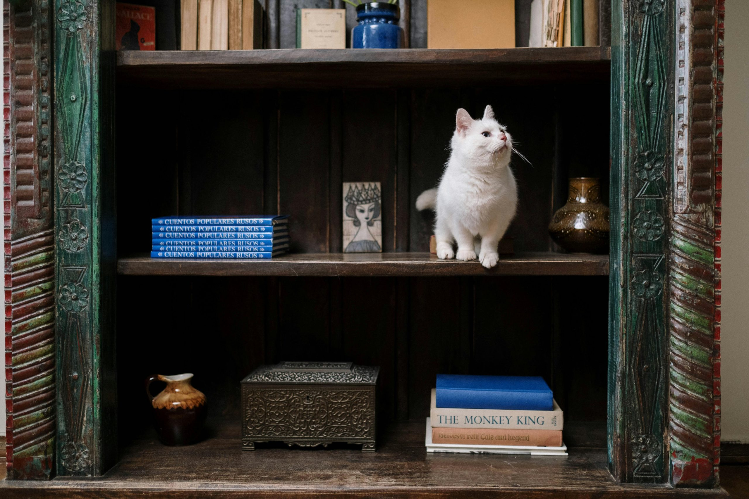 Exploring the Viability of Manufactured and Modular Home Ownership